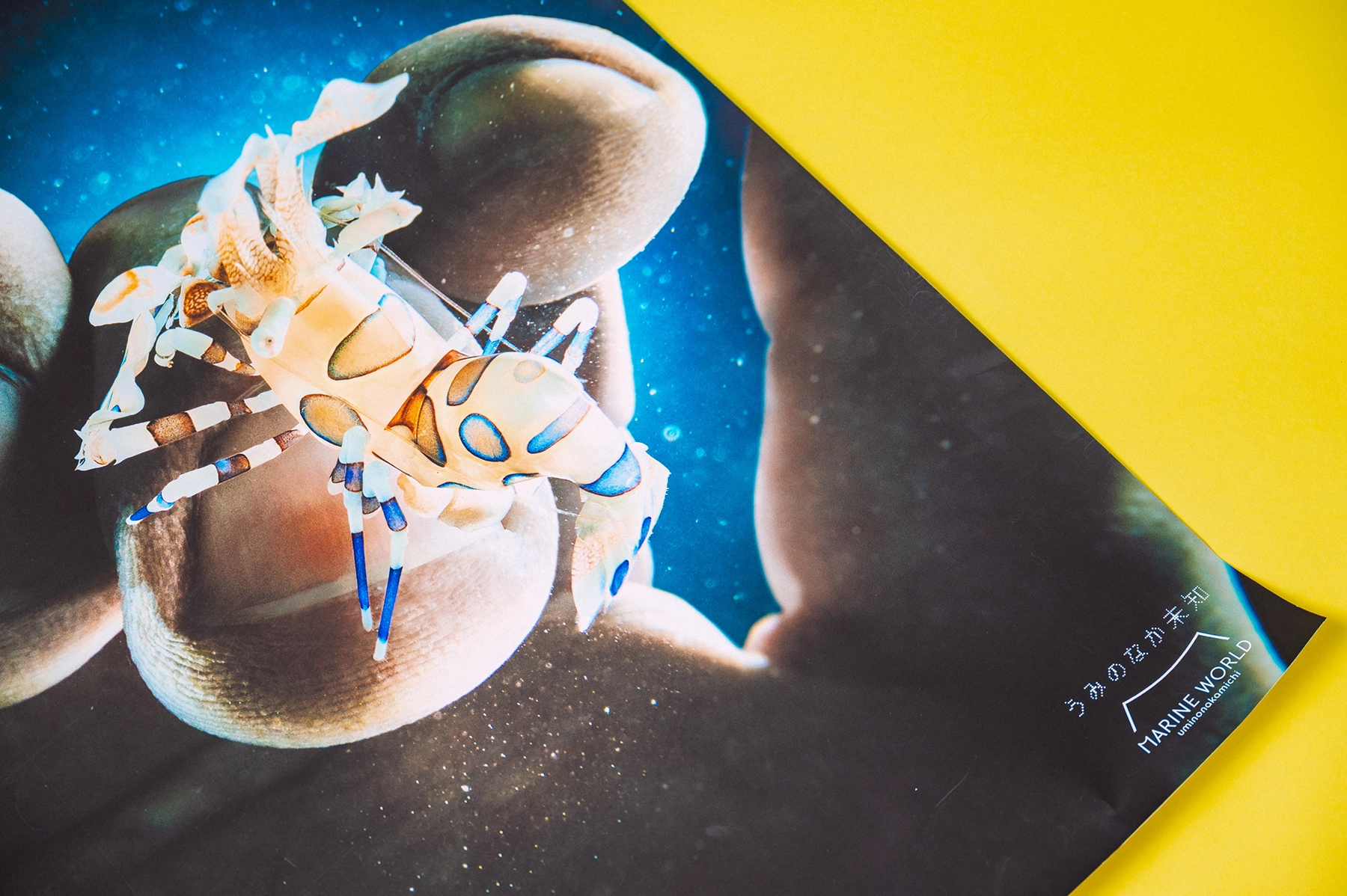 ベスト９ 受賞作品画像